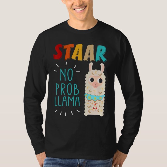 Camiseta Dia do Teste de Stato Dia do Teste Sem Prob Lama L (Frente)