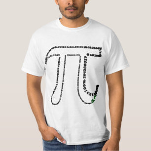 Camiseta Dia Pi Concluído