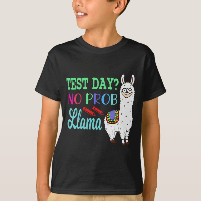 Camiseta Dia sem Prob Llama Dia de Teste Sem Problema Dia d (Frente)