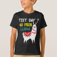 Dia Sem Prob-llama Llama Dia De Teste De Professor