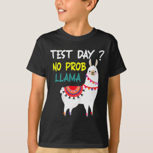 Camiseta Dia Sem Prob-llama Llama Dia De Teste De Professor