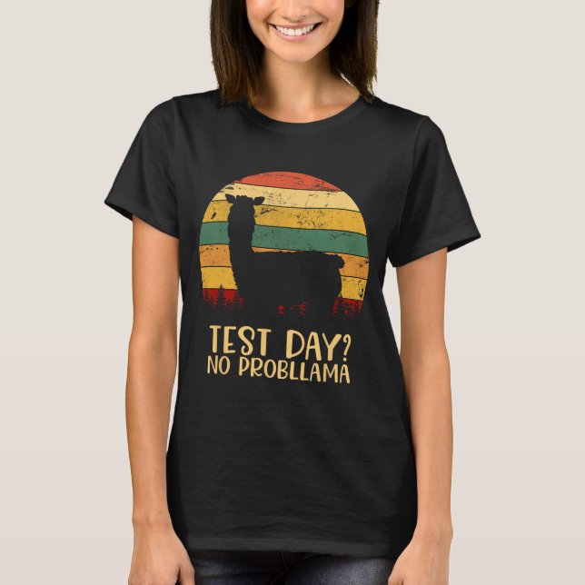 Camiseta Dia Sem Problema Professora Silhouette Gradua (Frente)