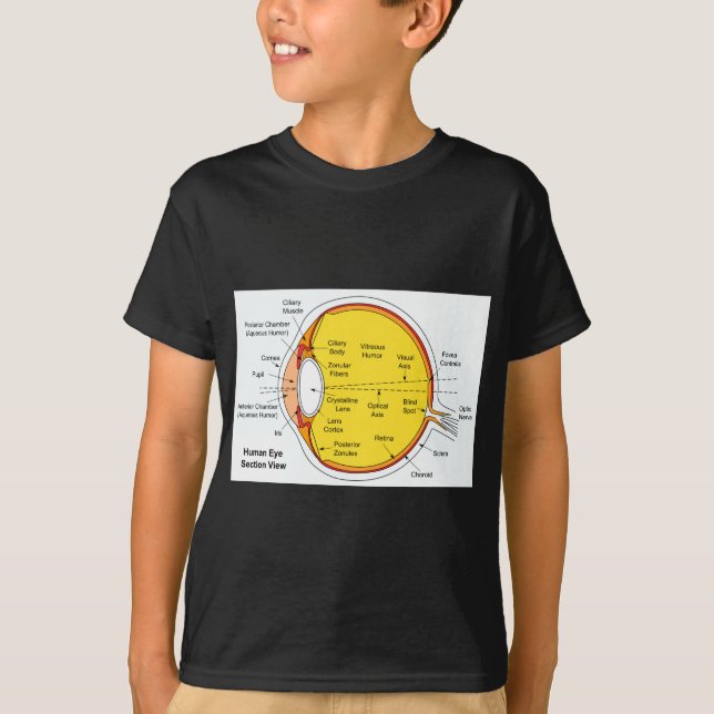 Camiseta Diagrama anatômico da bola do olho humano (Frente)