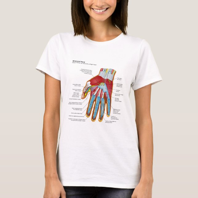 Camiseta Diagrama anatômico da mão e do pulso humanos (Frente)