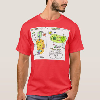 Camiseta Diagrama da respiração celular e fotossíntese