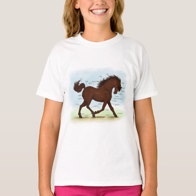 Camiseta Diagrama de Anatomia Educacional do Equino Marrom (Frente)