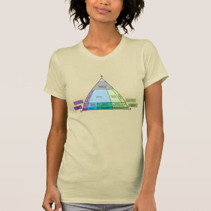 Camiseta Diagrama de QAP Geológico - ID de Rock Plutônico