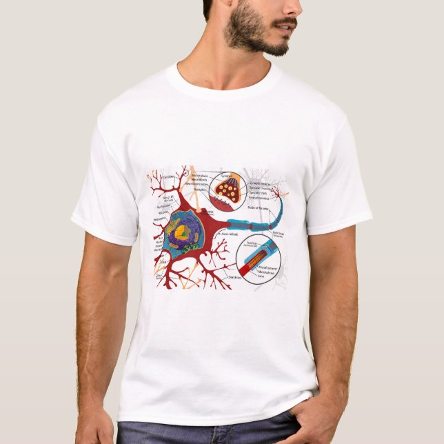 Camiseta Diagrama Neurônio Completo Célula Nervo Sistema Ne (Frente)