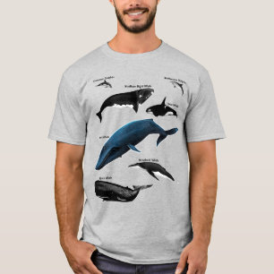 CAMISETA DIAS DE BALEIA