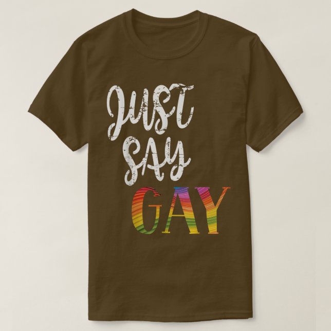 Camiseta Diga gay, está bem dizer Gay LGBTQ Florida Pr (Frente do Design)