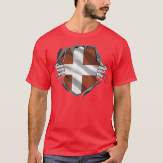 Camiseta Dinamarca Escandinávia