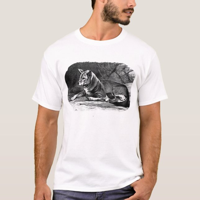 Camiseta dingo (Frente)