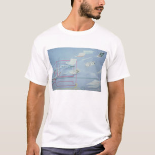 Camiseta Dinheiro executivo mim