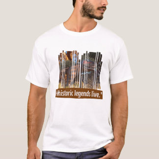 Camiseta Dinossauro