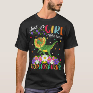 Camiseta Dinossauro Apenas Uma Menina Que Ama Dilophossauro