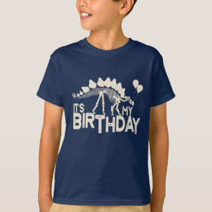 Camiseta Dinossauro com Balões Aniversário