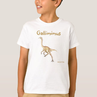Camiseta Dinossauros 48