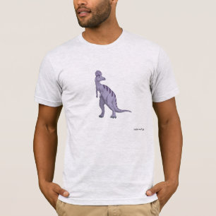 Camiseta Dinossauros 66