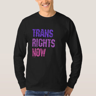 Camiseta Direitos Trans Agora Direitos Humanos LGBTQ Transg