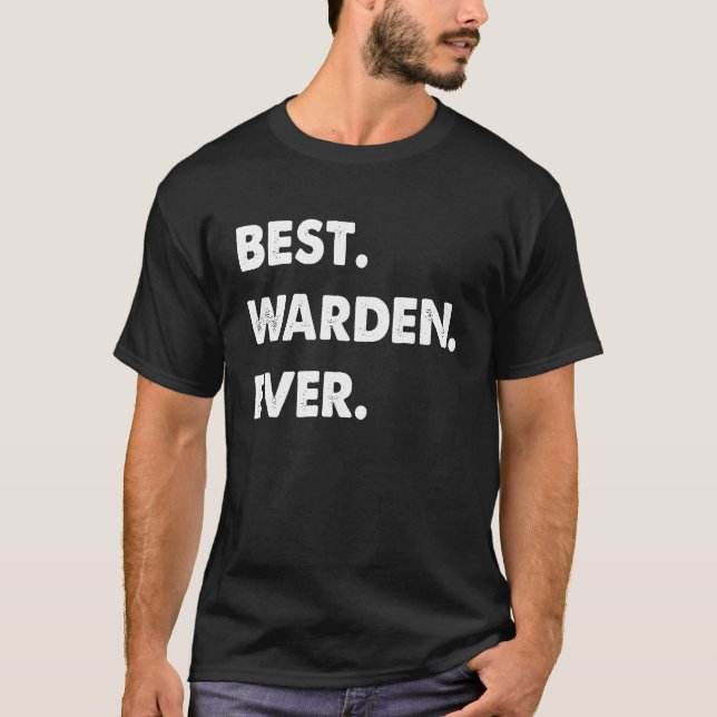 Camiseta Diretor de Profissão Melhor Diretor Nunca (Frente)