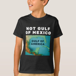 Camiseta Divertido Trump Golfo da América Não Golfo do Méxi