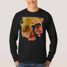 Divertimento superior de Skully