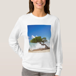 Camiseta Divi Divi Tree, Eagle Beach, Aruba, Caribe