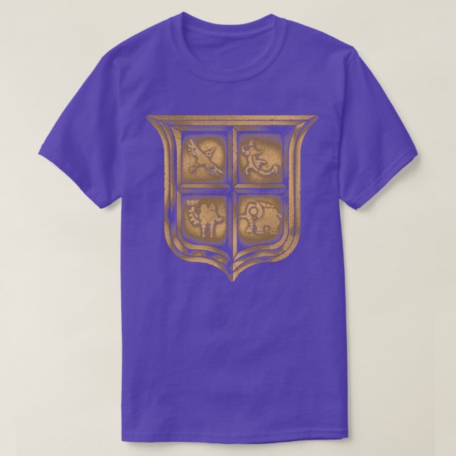 CAMISETA DIVINE SHIELD (Frente do Design)