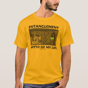 Camiseta Divisa da complicação de minha vida (física de