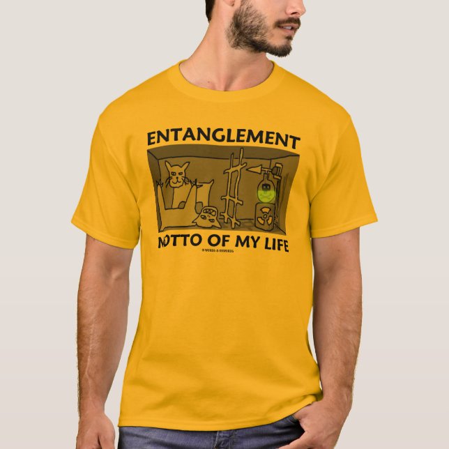 Camiseta Divisa da complicação de minha vida (física de (Frente)