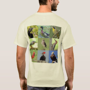Camiseta do Birder (questionário 1&2)