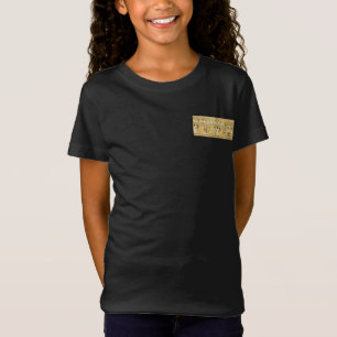 Camiseta do Egipto-Hieróglifos