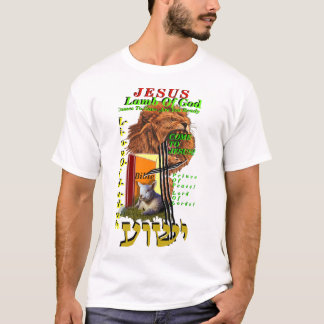 Camiseta do Evangelho, Camiseta com Imagem do Evan