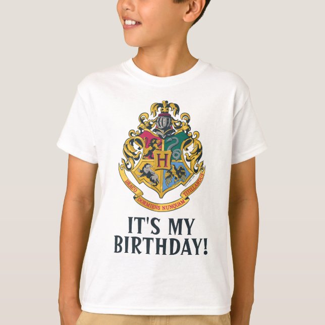Camiseta do Harry Potter | Hogwarts - É Meu Aniver (Frente)