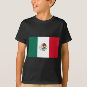 Camiseta do México Flag Kids