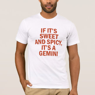 Camiseta Doce e Picante Design Divertido de Gêmeos