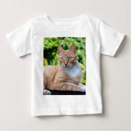 Camiseta Doce gatinho