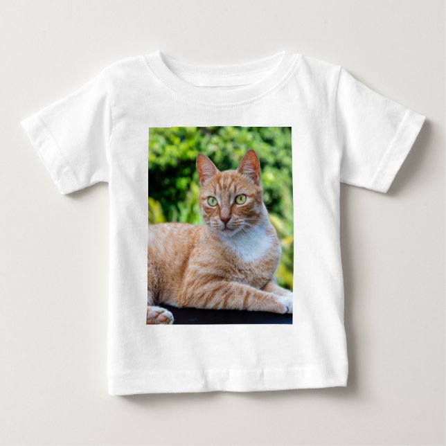 Camiseta Doce gatinho (Frente)