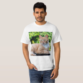 Camiseta Doce gatinho