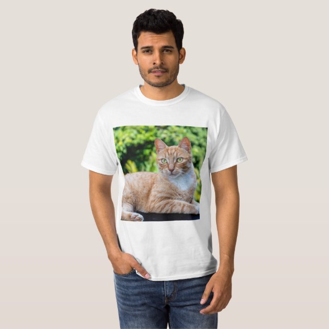 Camiseta Doce gatinho (Frente Completa)