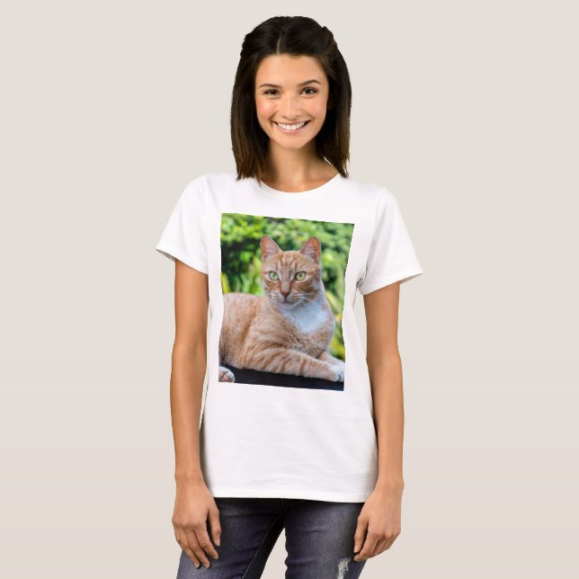 Camiseta Doce gatinho (Frente Completa)