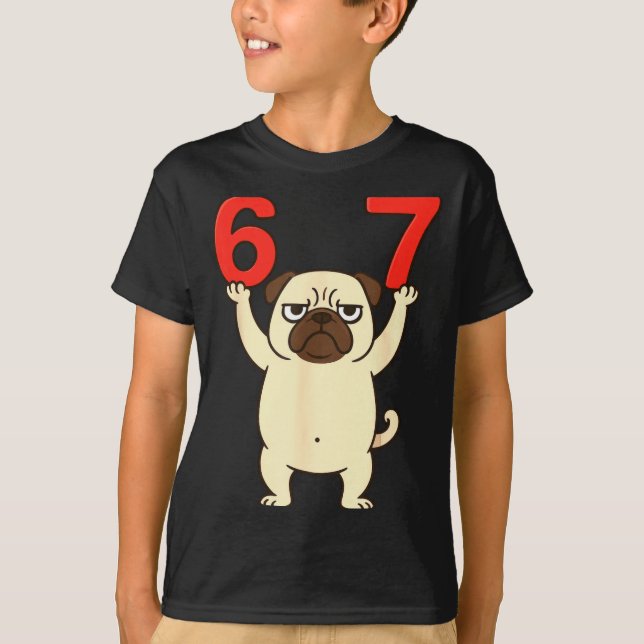 Camiseta Dog Pug Funny 67 Meme Six Seven  (Frente)