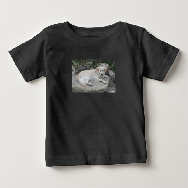 Camiseta Dog Resting On A Rock (Frente)