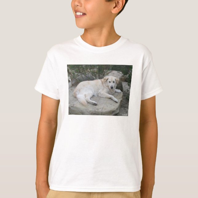 Camiseta Dog Resting On A Rock (Frente)