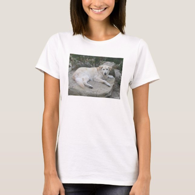 Camiseta Dog Resting On A Rock (Frente)