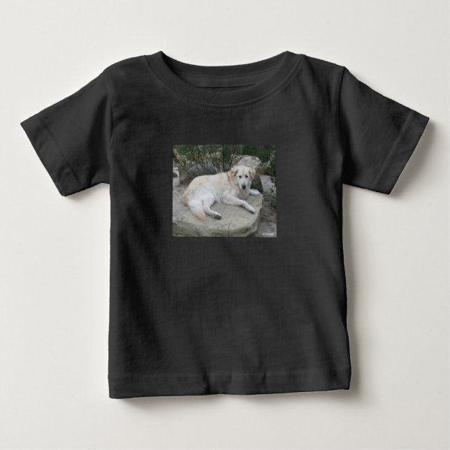 Camiseta Dog Resting On A Rock (Frente)