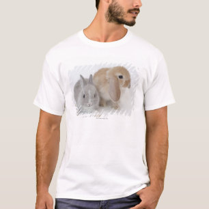 Camiseta Dois coelhos. Anão de Netherland e Holland Lop.