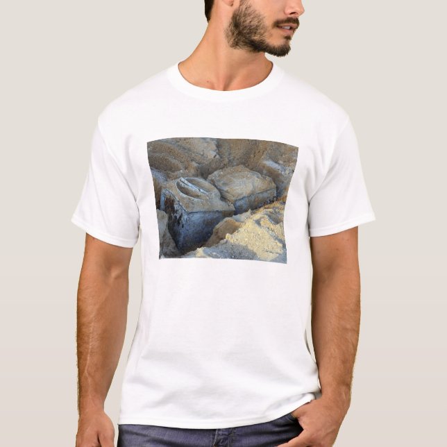 Camiseta Dois dispositivos do tipo caixa embalados (Frente)