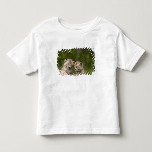 Camiseta Dois gatinhos do lince de Canadá que jogam em um