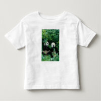 Dois pandas comendo bambu juntos, Wolong